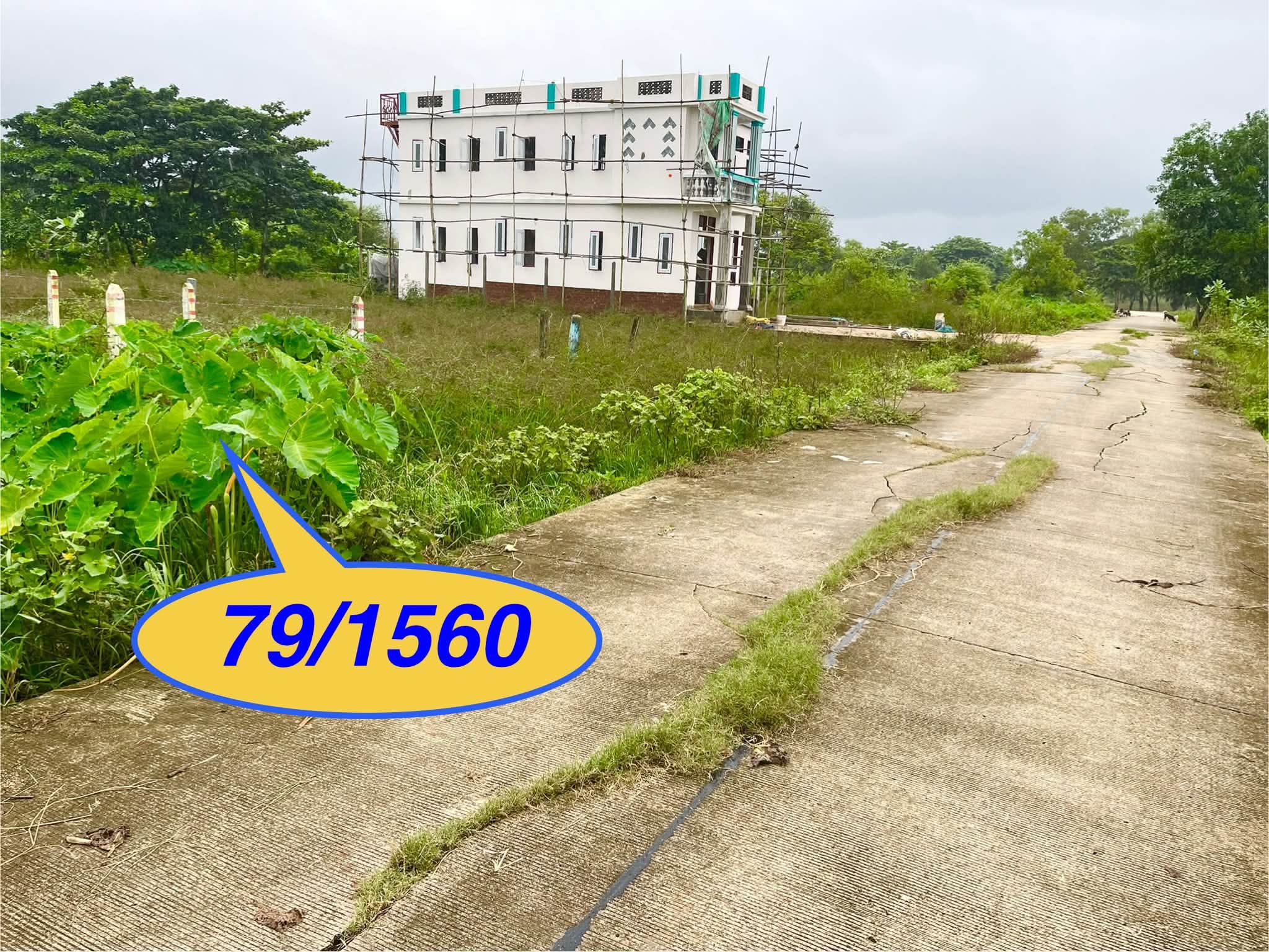 🏡✨ ဒဂုံဆိပ်ကမ်း | ၇၉ ရပ်ကွက် | လမ်းခင်းပ…